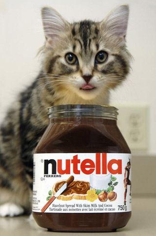 nutella