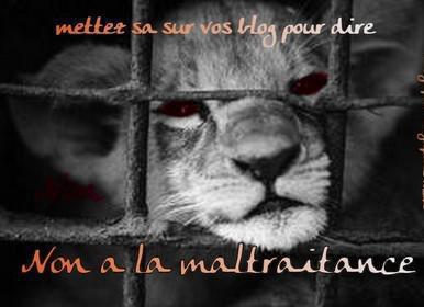 NON a la maltraitance
